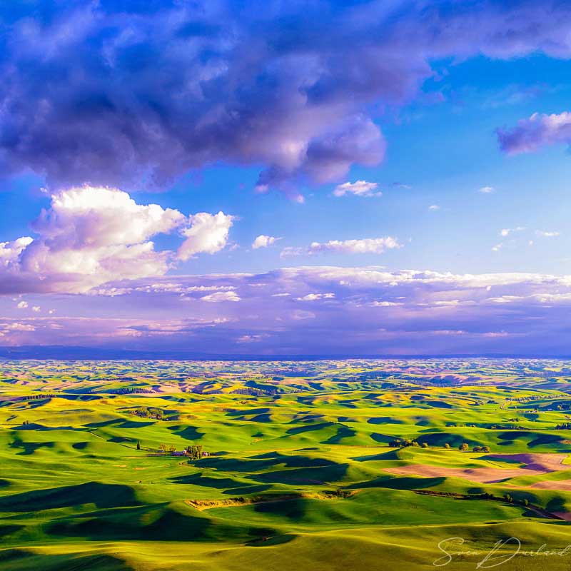 Palouse landscape at sunset