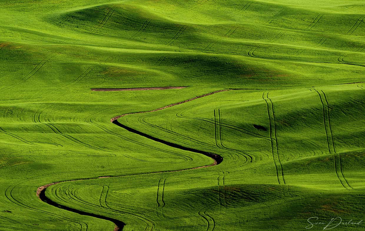 Rolling hills in the Palouse