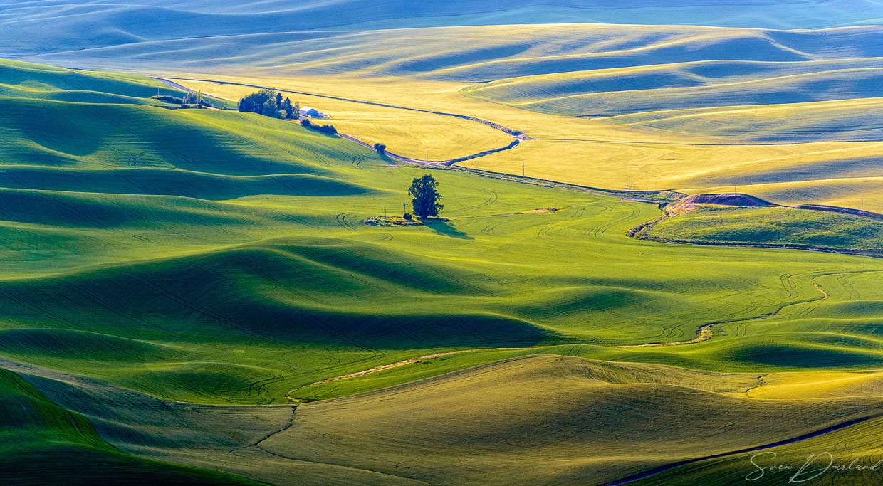 Rolling hills at sunset in the Palouse