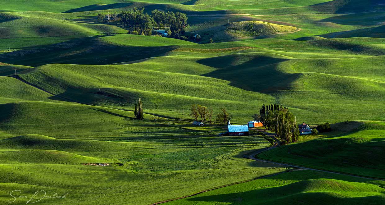 Rolling hills in the Palouse