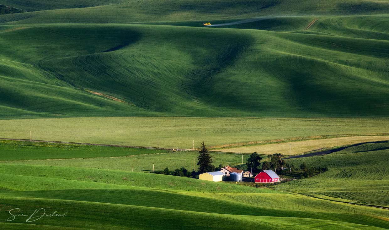 Wheat farm in the Palouse