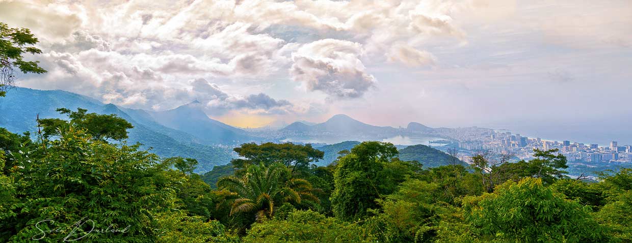 Tijuca Forest view over Rio