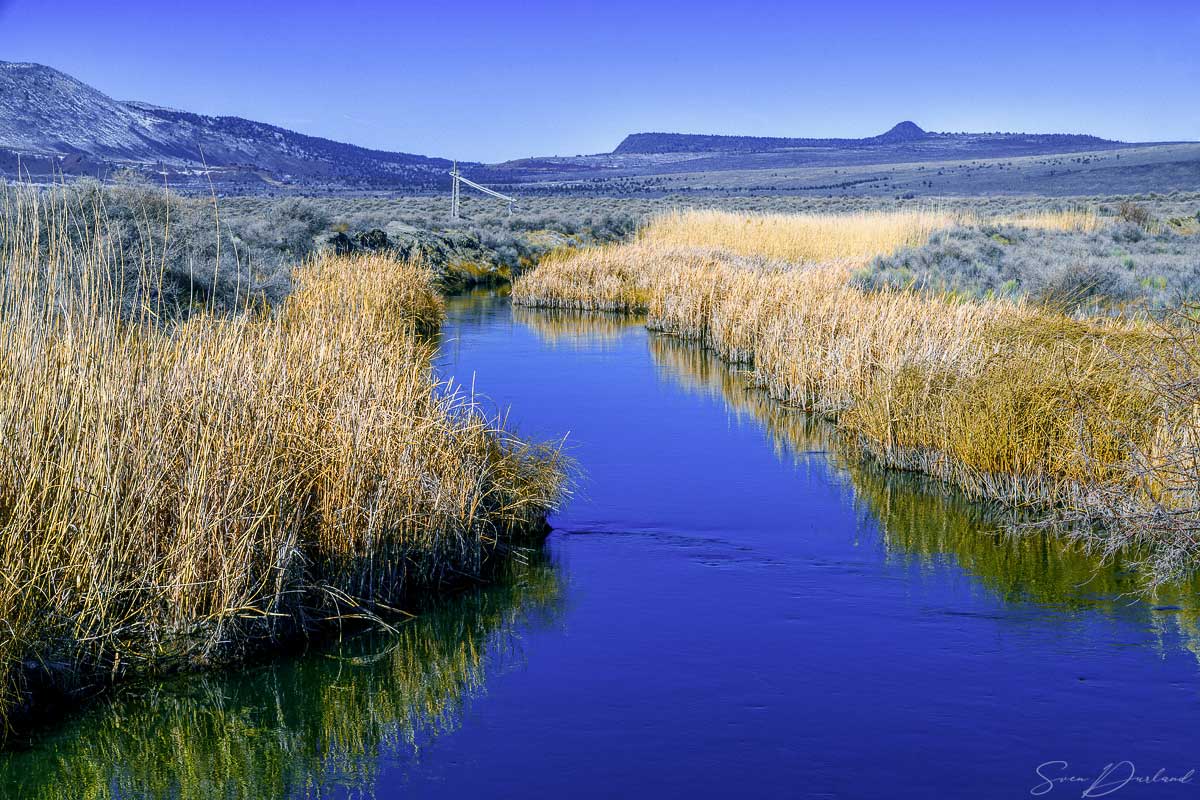 Stream at Summer Lake, Oregon