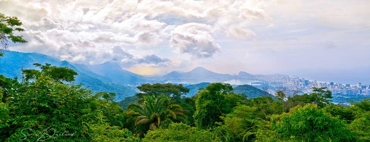 Tijuca forest, Rio de Janeiro