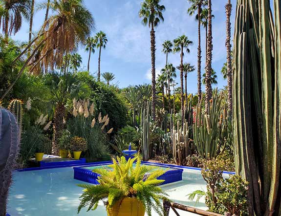 Majorelle Garden