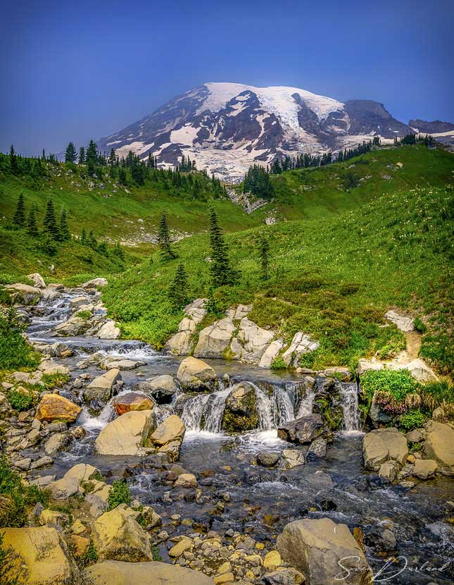 Mt Rainier Stream