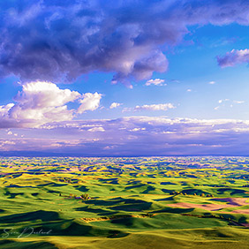 The Palouse