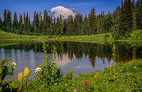 Mt Rainier