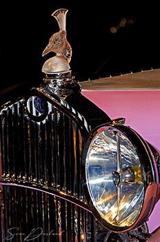 Delage car grille