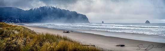 Oregon Coast